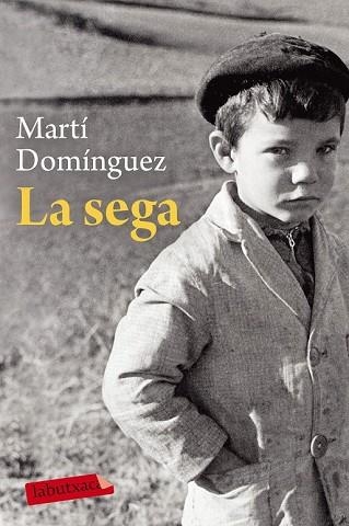 SEGA, LA | 9788417031701 | DOMÍNGUEZ, MARTÍ | Llibreria Drac - Librería de Olot | Comprar libros en catalán y castellano online