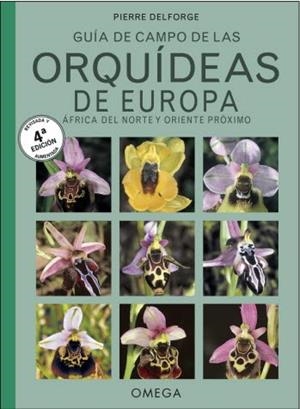 ORQUIDEAS DE EUROPA, NORTE DE AFRICA Y PROXIMO ORIENTE | 9788428216791 | DELFORGE, PIERRE | Llibreria Drac - Librería de Olot | Comprar libros en catalán y castellano online