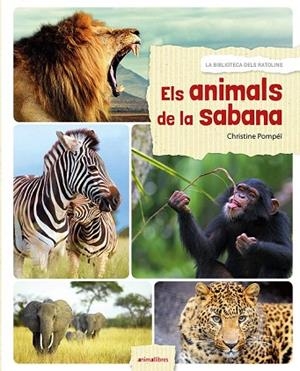 ANIMALS DE LA SABANA, ELS | 9788416844524 | POMPÉÏ, CHRISTINE | Llibreria Drac - Librería de Olot | Comprar libros en catalán y castellano online