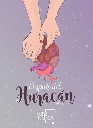 DESPUÉS DEL HURACÁN | 9788417284145 | LEO, SARA | Llibreria Drac - Librería de Olot | Comprar libros en catalán y castellano online