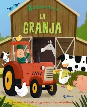 ASÓMATE A LA GRANJA | 9788469622834 | AA.DD. | Llibreria Drac - Librería de Olot | Comprar libros en catalán y castellano online
