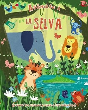 ASÓMATE A LA SELVA | 9788469622841 | AA.DD. | Llibreria Drac - Librería de Olot | Comprar libros en catalán y castellano online