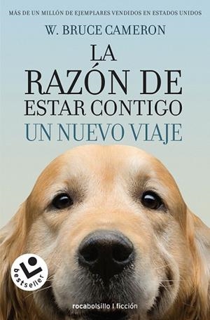 RAZÓN DE ESTAR CONTIGO, LA  UN NUEVO VIAJE | 9788416240999 | CAMERON, W. BRUCE | Llibreria Drac - Librería de Olot | Comprar libros en catalán y castellano online