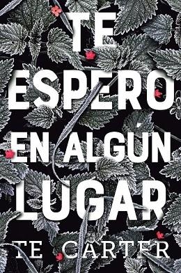 TE ESPERO EN ALGÚN LUGAR | 9788494811319 | CARTER, T.E. | Llibreria Drac - Librería de Olot | Comprar libros en catalán y castellano online