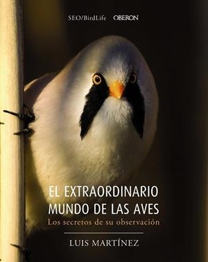 EXTRAORDINARIO MUNDO DE LAS AVES. LOS SECRETOS DE SU OBSERVACIÓN | 9788441540330 | Llibreria Drac - Librería de Olot | Comprar libros en catalán y castellano online