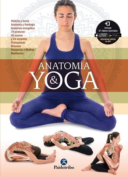 ANATOMÍA & YOGA | 9788499106526 | PATIÑO COLL, MIREIA | Llibreria Drac - Llibreria d'Olot | Comprar llibres en català i castellà online