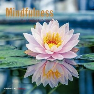 CALENDARI 2019 MINDFULNESS  | 9788448024598 | AA.DD. | Llibreria Drac - Librería de Olot | Comprar libros en catalán y castellano online