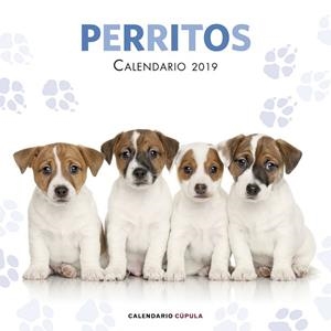 CALENDARI 2019 PERRITOS  | 9788448024642 | AA.DD. | Llibreria Drac - Librería de Olot | Comprar libros en catalán y castellano online