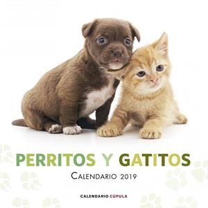 CALENDARI 2019 PERRITOS Y GATITOS  | 9788448024666 | AA.DD. | Llibreria Drac - Librería de Olot | Comprar libros en catalán y castellano online
