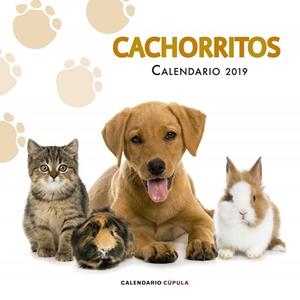 CALENDARI 2019 CACHORRITOS  | 9788448024673 | AA.DD. | Llibreria Drac - Librería de Olot | Comprar libros en catalán y castellano online