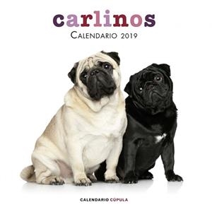 CALENDARI 2019 CARLINOS  | 9788448024680 | AA.DD. | Llibreria Drac - Librería de Olot | Comprar libros en catalán y castellano online