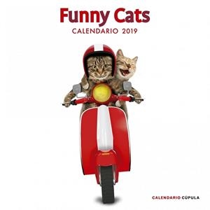 CALENDARI 2019 FUNNY CATS | 9788448024628 | AA.DD. | Llibreria Drac - Librería de Olot | Comprar libros en catalán y castellano online