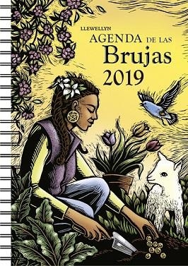 AGENDA DE LAS BRUJAS 2019 | 9788491113652 | LLEWELLYN | Llibreria Drac - Librería de Olot | Comprar libros en catalán y castellano online