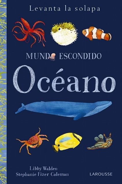 OCÉANO (MUNDO ESCONDIDO) | 9788416984879 | Llibreria Drac - Librería de Olot | Comprar libros en catalán y castellano online