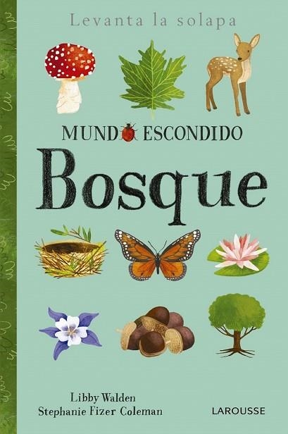 BOSQUE (MUNDO ESCONDIDO) | 9788416984862 | Llibreria Drac - Librería de Olot | Comprar libros en catalán y castellano online