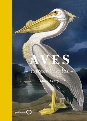 AVES EXTRAORDINARIAS | 9788408181477 | AVERY, MARK | Llibreria Drac - Llibreria d'Olot | Comprar llibres en català i castellà online