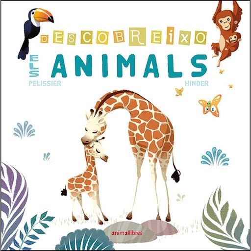 DESCOBREIXO ELS ANIMALS | 9788416844869 | PELISSIER, JÉRÔME; HINDER, CARINE | Llibreria Drac - Librería de Olot | Comprar libros en catalán y castellano online