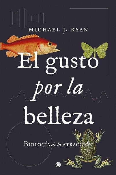 GUSTO POR LA BELLEZA, EL | 9788494886003 | RYAN, MICHAEL J. | Llibreria Drac - Librería de Olot | Comprar libros en catalán y castellano online