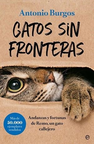 GATOS SIN FRONTERAS | 9788491644248 | BURGOS, ANTONIO | Llibreria Drac - Llibreria d'Olot | Comprar llibres en català i castellà online