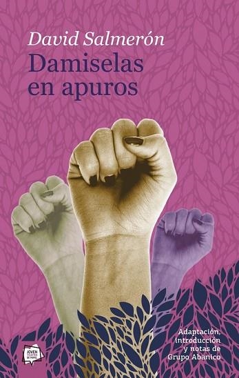 DAMISELAS EN APUROS | 9788491422426 | SALMERON, DAVID | Llibreria Drac - Librería de Olot | Comprar libros en catalán y castellano online