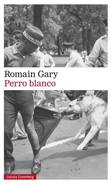 PERRO BLANCO | 9788417355586 | GARY, ROMAIN | Llibreria Drac - Librería de Olot | Comprar libros en catalán y castellano online