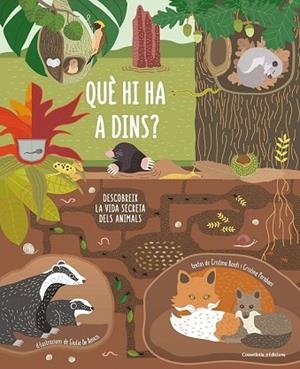 QUÈ HI HA A DINS? | 9788490347607 | BANFI, CRISTINA; PERABONI, CRISTINA | Llibreria Drac - Llibreria d'Olot | Comprar llibres en català i castellà online