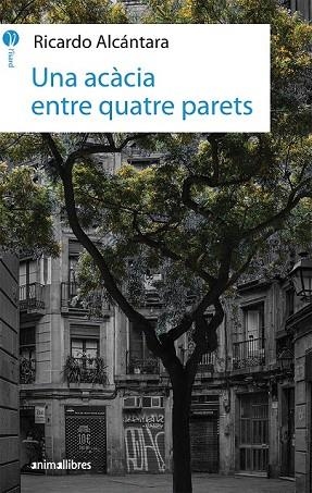 ACÀCIA ENTRE QUATRE PARETS, UNA | 9788417599010 | ALCÁNTARA SGARBI, RICARDO | Llibreria Drac - Librería de Olot | Comprar libros en catalán y castellano online