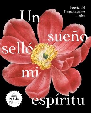 SUEÑO SELLO MI ESPIRITU, UN | 9788439735328 | AA.DD. | Llibreria Drac - Llibreria d'Olot | Comprar llibres en català i castellà online
