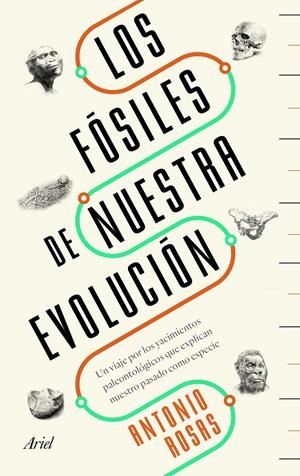 FÓSILES DE NUESTRA EVOLUCIÓN, LOS | 9788434429642 | ROSAS, ANTONIO | Llibreria Drac - Librería de Olot | Comprar libros en catalán y castellano online