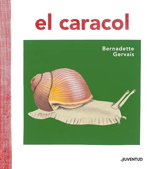 CARACOL, EL | 9788426145673 | GERVAIS, BERNADETTE | Llibreria Drac - Librería de Olot | Comprar libros en catalán y castellano online