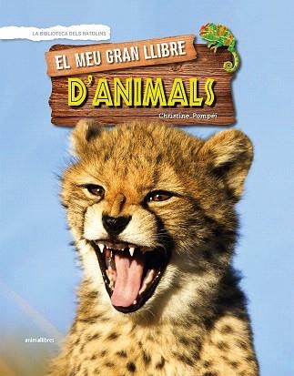 MEU GRAN LLIBRE D'ANIMALS, EL | 9788417599096 | POMPÉÏ, CHRISTINE | Llibreria Drac - Librería de Olot | Comprar libros en catalán y castellano online