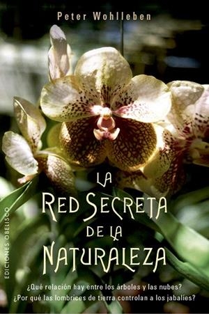 RED SECRETA DE LA NATURALEZA, LA | 9788491114192 | WOHLLEBEN, PETER | Llibreria Drac - Llibreria d'Olot | Comprar llibres en català i castellà online
