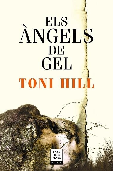 ÀNGELS DE GEL, ELS | 9788417444679 | HILL, TONI | Llibreria Drac - Librería de Olot | Comprar libros en catalán y castellano online