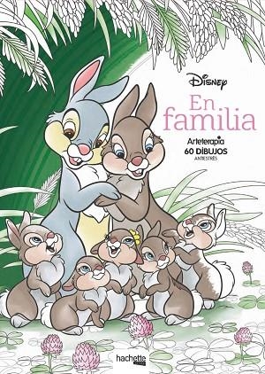 ARTETERAPIA. DISNEY EN FAMILIA | 9788417586058 | AA.DD. | Llibreria Drac - Librería de Olot | Comprar libros en catalán y castellano online