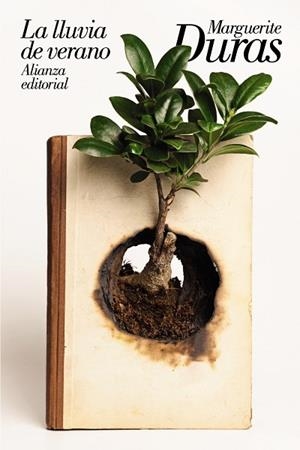 LLUVIA DE VERANO, LA | 9788491814962 | DURAS, MARGUERITE | Llibreria Drac - Librería de Olot | Comprar libros en catalán y castellano online