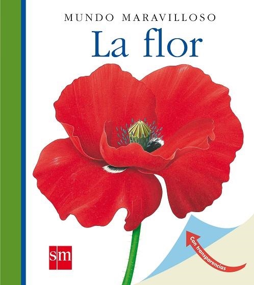 MUM. 5 LA FLOR(N) | 9788467531459 | METTLER, RENÉ | Llibreria Drac - Librería de Olot | Comprar libros en catalán y castellano online