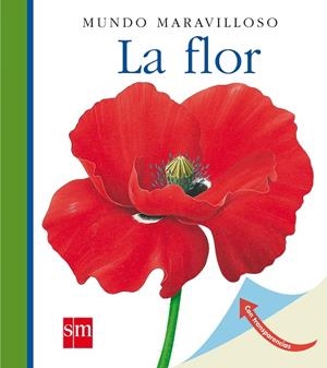 MUM. 5 LA FLOR(N) | 9788467531459 | METTLER, RENÉ | Llibreria Drac - Llibreria d'Olot | Comprar llibres en català i castellà online