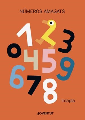 NUMEROS AMAGATS | 9788426145741 | IMAPLA | Llibreria Drac - Librería de Olot | Comprar libros en catalán y castellano online