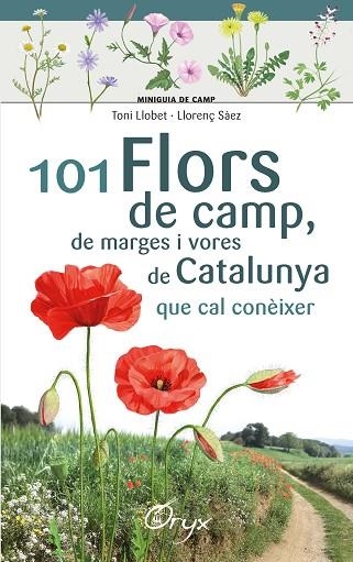 101 FLORS DE CAMP, DE MARGES I VORES DE CATALUNYA | 9788490348413 | LLOBET, TONI; SÀEZ GOÑALONS, LLORENÇ | Llibreria Drac - Librería de Olot | Comprar libros en catalán y castellano online