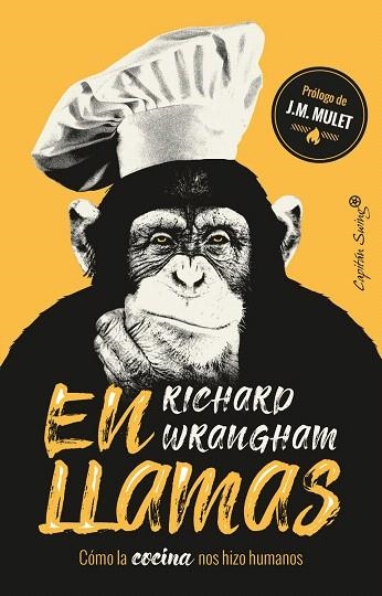EN LLAMAS | 9788494966873 | WRANGHAM, RICHARD | Llibreria Drac - Librería de Olot | Comprar libros en catalán y castellano online
