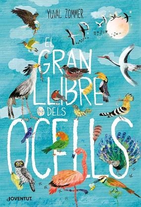 GRAN LLIBRE DELS OCELLS, EL | 9788426145840 | ZOMMER, YUVAL | Llibreria Drac - Librería de Olot | Comprar libros en catalán y castellano online