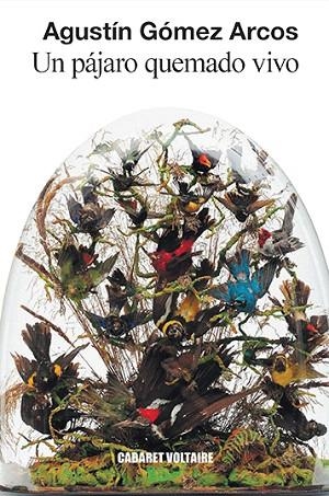 UN PÁJARO QUEMADO VIVO | 9788494941443 | GÓMEZ, AGUSTÍN | Llibreria Drac - Librería de Olot | Comprar libros en catalán y castellano online