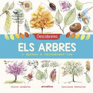 DESCOBREIXO ELS ARBRES I APRENC A RECONÈIXER-LOS (LA BIBLIOTECA DELS RATOLINS) | 9788417599195 | LECOEUVRE, CLAIRE | Llibreria Drac - Librería de Olot | Comprar libros en catalán y castellano online