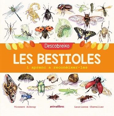 DESCOBREIXO LES BESTIOLES I APRENC A RECONÈIXER-LES (LA BIBLIOTECA DELS RATOLINS) | 9788417599201 | ALBOUY, VINCENT | Llibreria Drac - Librería de Olot | Comprar libros en catalán y castellano online
