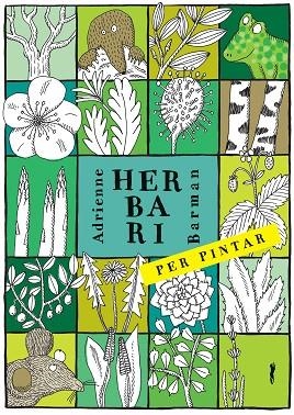 HERBARI PER PINTAR | 9788494990427 | BARMAN, ADRIANNE | Llibreria Drac - Librería de Olot | Comprar libros en catalán y castellano online