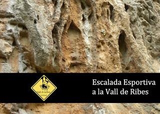 ESCALADA ESPORTIVA A LA VALL DE RIBES | 9788409106110 | AA.DD. | Llibreria Drac - Librería de Olot | Comprar libros en catalán y castellano online