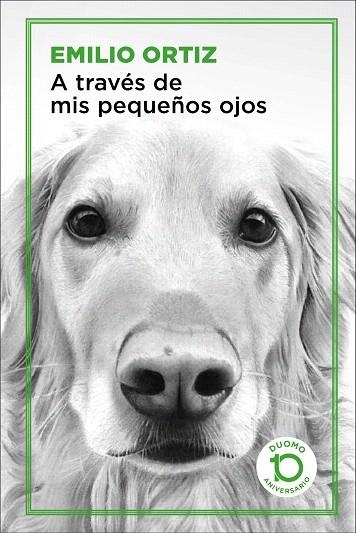 A TRAVÉS DE MIS PEQUEÑOS OJOS | 9788417761042 | ORTIZ PULIDO, EMILIO | Llibreria Drac - Llibreria d'Olot | Comprar llibres en català i castellà online