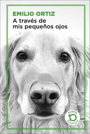 A TRAVÉS DE MIS PEQUEÑOS OJOS | 9788417761042 | ORTIZ PULIDO, EMILIO | Llibreria Drac - Llibreria d'Olot | Comprar llibres en català i castellà online