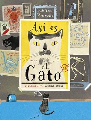 ASÍ ES EL GATO | 9788494992605 | WIERZBA, PAULINA | Llibreria Drac - Llibreria d'Olot | Comprar llibres en català i castellà online
