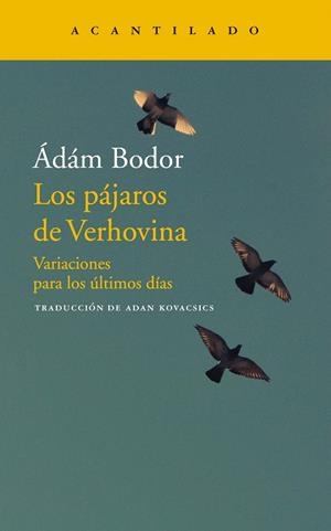 PÁJAROS DE VERHOVINA, LOS | 9788417346706 | ÁDÁM, BODOR | Llibreria Drac - Llibreria d'Olot | Comprar llibres en català i castellà online
